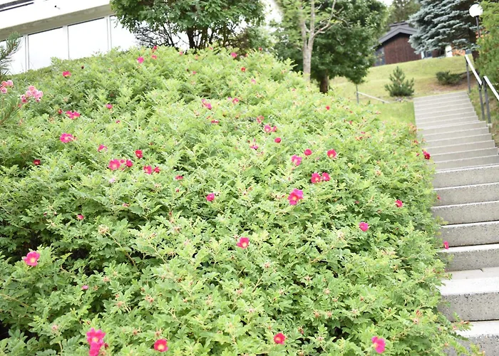 La Schmetta 38 * Lenzerheide